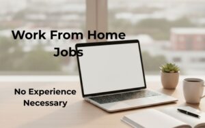 work from home jobs with no experience